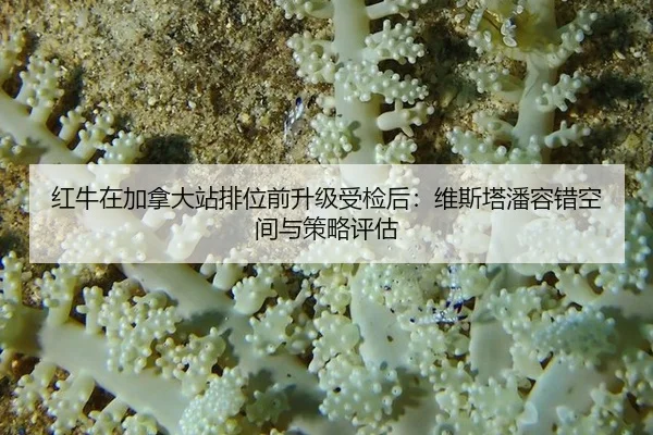 红牛在加拿大站排位前升级受检后：维斯塔潘容错空间与策略评估